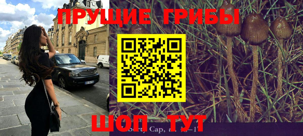 Богданович  Псилоцибиновые грибы мухоморы  продажа наркотиков  Вход с VPN 